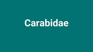 Carabidae Meaning and Pronunciation [upl. by Otina300]