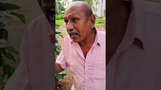 பஜ்ஜி கடை ஆரம்பிச்சும் பிரயோஜனம் இல்ல comedy panamatta funny reels funnyshorts [upl. by Adamok231]