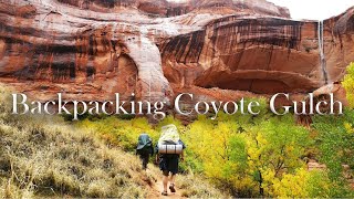 Backpacking Coyote Gulch  Utah Glen CanyonEscalante [upl. by Nodababus]