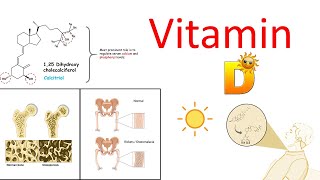 Vitamin D and its deficiency associated disease Ricket amp Osteomalacia [upl. by Htebaile]