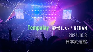 Tempalay  愛憎しい  NEHAN 2024103 武道館LIVE [upl. by Poyssick]