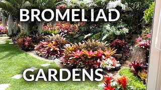 BROMELIAD GARDENS [upl. by Itnava56]