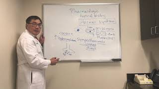 Pharmacological testing of Horner’s syndrome [upl. by Notecnirp]