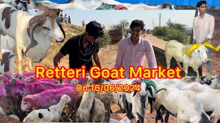 Retteri Goat Market 2024🐐 Bakrid Santhai on 16062024  Heavy Size Andhra Guntur Goat sheep [upl. by Modesty]