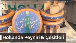 Hollanda Peyniri ve Ã‡eÅŸitleri [upl. by Ahsimik]