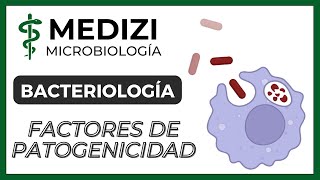 Microbiología  Bacteriología  Factores de patogenicidad [upl. by Verras]