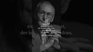 Hermann Hesse Zitat shorts zitate weisheiten aphorismen [upl. by Jepson292]