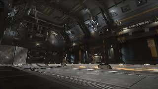 Star Citizen  Hangar SELF LAND [upl. by Madaras]