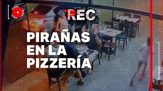 PIRAÑAS EN LA PIZZERÍA  VECINA AMENAZA CON UN FIERRO A LOS LADRONES  🔴REC [upl. by Laehcim945]