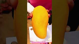 Lots of ripe mangoes 🥭🥭 and harvesting sweet mango from farm funny tending comedy foryou reels [upl. by Hahnke975]