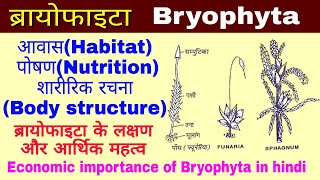 Bryophytaब्रायोफाइटा लक्षण और आर्थिक महत्व Economic importance of Bryophyta Biology in hindi [upl. by Golter]