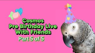 Cosmos Pre Birthday Live With Her Friends KikiChloe apparrotly and WillGerty Wilsonthegrey1 [upl. by Nhguavoj193]