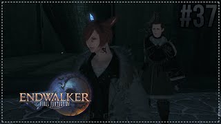 Final Fantasy XIV Endwalker  37  Les ravages du froid [upl. by Edroi939]