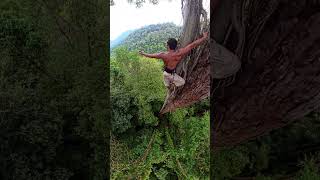 Tree Climbing Challenge shortvideo [upl. by Lleuqar]