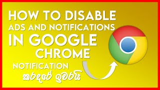 How to Disable Ads and Notifications of Google Chrome  PC  Computer  Sinhala  2024  Disa GeekZ [upl. by Idette]