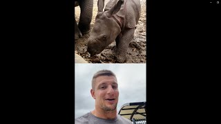 Gronk Gets a Baby Rhino Named After Him [upl. by Siward]