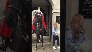 Lady ignored Royal Guard Horse shorts royalguards horseguardsparade london [upl. by Otrebcire536]