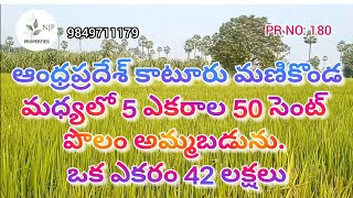 Andhrapradesh Katuru Manikonda55 Acers agriculture landPolam for sale 42 Laks per acer9849711179 [upl. by Ara]