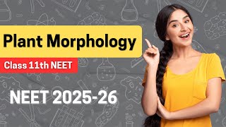 Lecture 3  Morphology in Flowering Plants  NEET 202526  Class 11 Biology  Vedath [upl. by Ariaj]