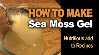 How to make Sea Moss Gel [upl. by Olshausen]