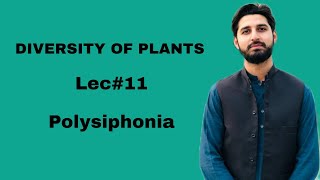 Lec11  Polysiphonia  Diversity of Plants  HS BIOLOGY [upl. by Vivianne287]