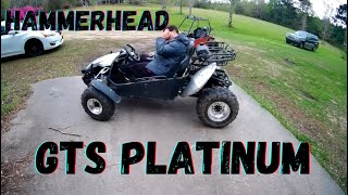 Hammerhead GTS Platinum 150 Gokart No Roof Is It Faster [upl. by Halyhs]