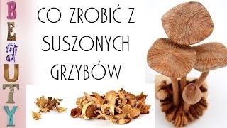 Co zrobić z suszonych grzybów [upl. by Zilef]