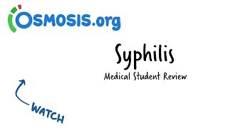 Syphilis  Clinical Presentation [upl. by Aisya]