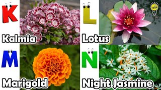 Flowers Alphabet Song  Flowers ABC Song  A to Z Flowers Names  Phonics for Kids [upl. by Isman]