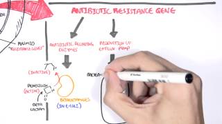 Evaluation of Bactericidal and BacteriostaticHindiB Pharm 3 Sem Pceutical MicrobiologyUnit 3 [upl. by Orvie]