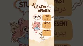 learn arabic  verbs in arabic [upl. by Ailak]