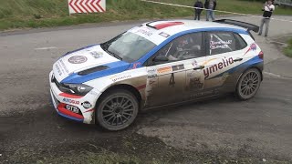 Rallye des Bornes 2024DChevalley [upl. by Ameyn983]