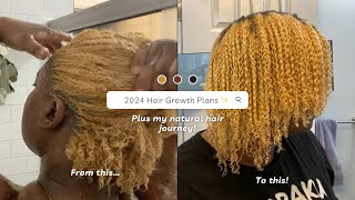 2024 Growth Plans  Plus my natural hair journey [upl. by Pfosi]