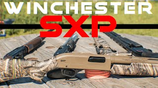 Best Pump Shotgun for the  Winchester SXP 12ga Pump Shotgun Review [upl. by Betsy]