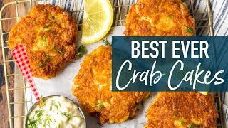 Best Crab Cakes Recipe Baltimore Crab Cakes [upl. by Clementine]