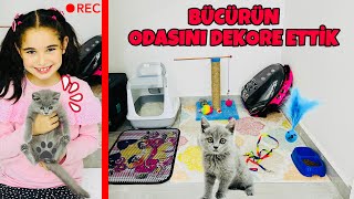 KEDİMİZ BÜCÜRE ODA YAPTIK  YENİ EŞYALARINI YERLEŞTİRDİK  BÜCÜRE ODA DEKORASYONU [upl. by Yc544]