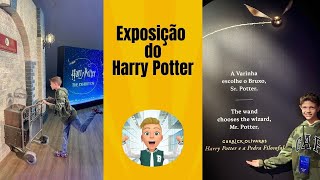 EXPOSIÇÃO DO HARRY POTTER [upl. by Kinsman650]