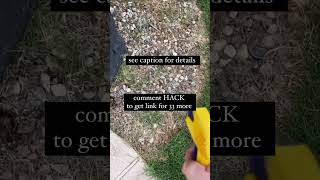 DIY Weed Killer That Actually Works 🌿✨  Easy and Effective Solution for Your Yard [upl. by Tocci935]