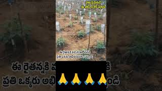 రైతు తెలివితేటలు [upl. by Huskamp]