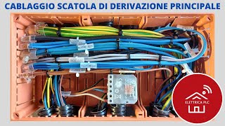 19 CABLAGGIO SCATOLA DI DERIVAZIONE PRINCIPALE QUADRO ELETTRICO 6 kw quotLIV 1quot [upl. by Amarillas288]