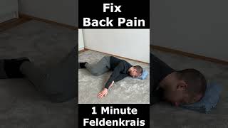 Fix Back Pain in 60 Seconds  1 Minute Feldenkrais [upl. by Hogle]