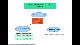 Hemato  01CAT devant une anémie avec révision du chapitre GR DrAbbadi [upl. by Ykcin]