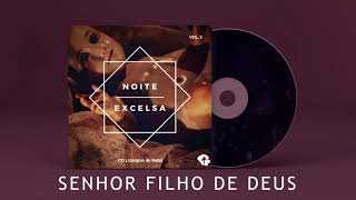 Senhor Filho de Deus  CD Noite Excelsa VOL2 [upl. by Ceevah]