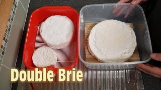 How to Make Double Brie Cheese at Home [upl. by Yeorgi285]