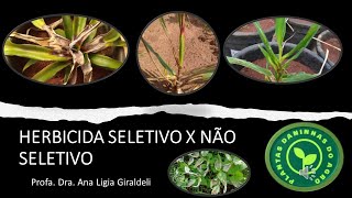 HERBICIDA SELETIVO X NÃO SELETIVO [upl. by Adrianna]