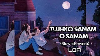 Tujhko Sanam oo Sanam lofi song lofimusic lovesong [upl. by Artap]