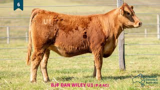 Lot 6  BJF DAN WILEY U1 P A AC [upl. by Eidderf]