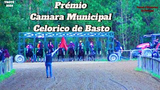 Celorico de Basto  Galope  Corrida de Cavalos 2024 [upl. by Darce]