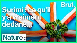 Comment est fabriqué le surimi [upl. by Einnok]