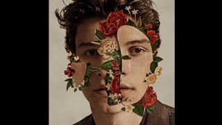 Shawn Mendes  Fallin All In You Audio [upl. by Skutchan751]